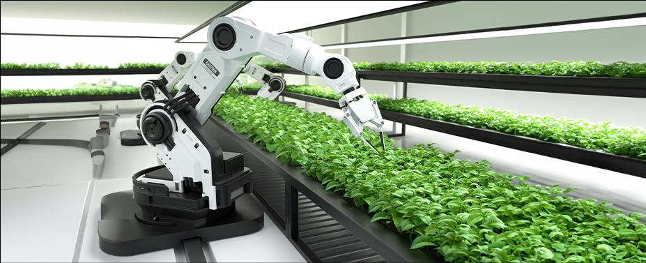 The Rise of AgTech: How to Prepare Your Farming Business for Innovation