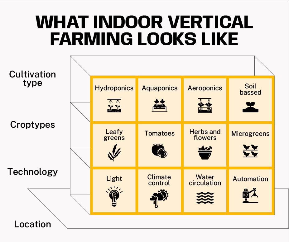 what indoor vertical farming looks like