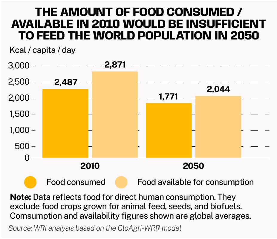 the amount of food consumed/available in 2010 would be insufficient to feed the world population in 2050